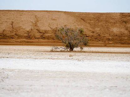 Fragmento do documentário 'Os desertos de Sonora'