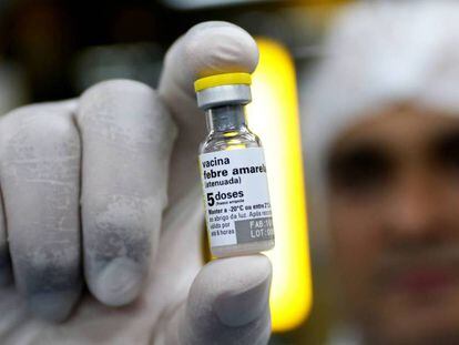 Produção de vacina para a febre amarela.