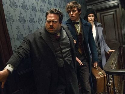 Dan Fogler, Eddie Redmayne e Katherine Waterston, em 'Animais fantásticos e Onde Habitam'.