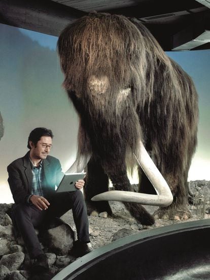Nogués-Bravo, ao lado de um mamute no Museu de História Natural da Dinamarca