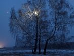 Alexei Dudoladov, student and popular blogger, is seen on a birch tree for better cellular network coverage in his remote Siberian village of Stankevichi, Russia November 13, 2020. Picture taken November 13, 2020.  REUTERS/Alexey Malgavko ok