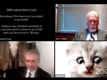 Captura de tela da reunião de segunda-feira, em que o advogado do Texas não conseguiu desabilitar o filtro de gato do Zoom.