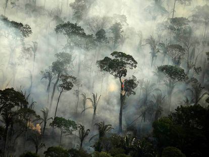 Amazônia em chamas