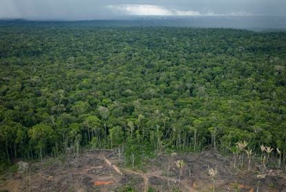 Vista área do desmatamento na Amazônia.