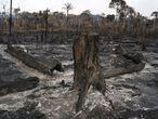 Vegetação destruída após queimadas em Novo Progresso, na região amazônica.