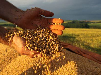 Colheita de grãos cresceu 130% e logística não acompanhou