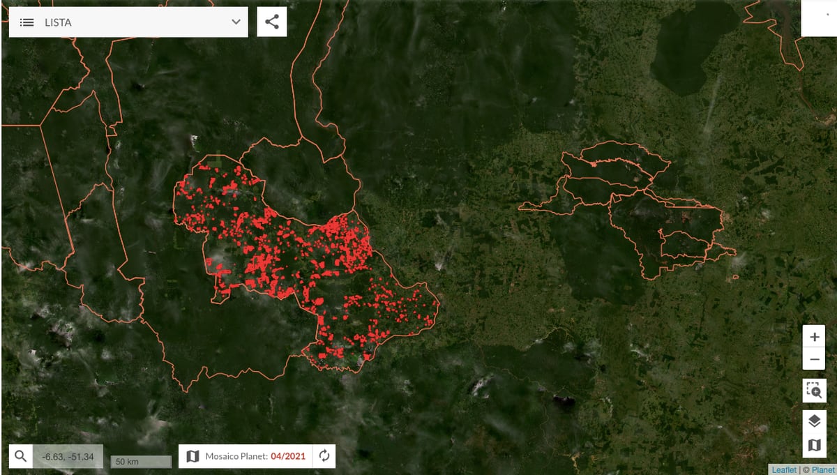 Brasil perde 24 árvores por segundo em 2020 enquanto alertas de desmatamento explodem