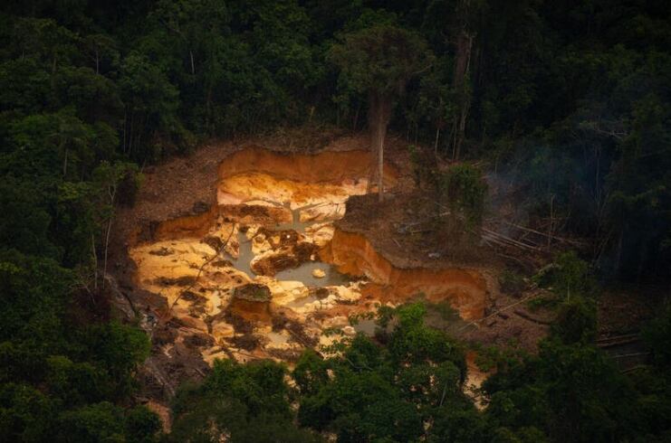 Devastação: mais de 200 hectares de floresta foram derrubados pelo garimpo na Terra Yanomami no primeiro trimestre de 2021.