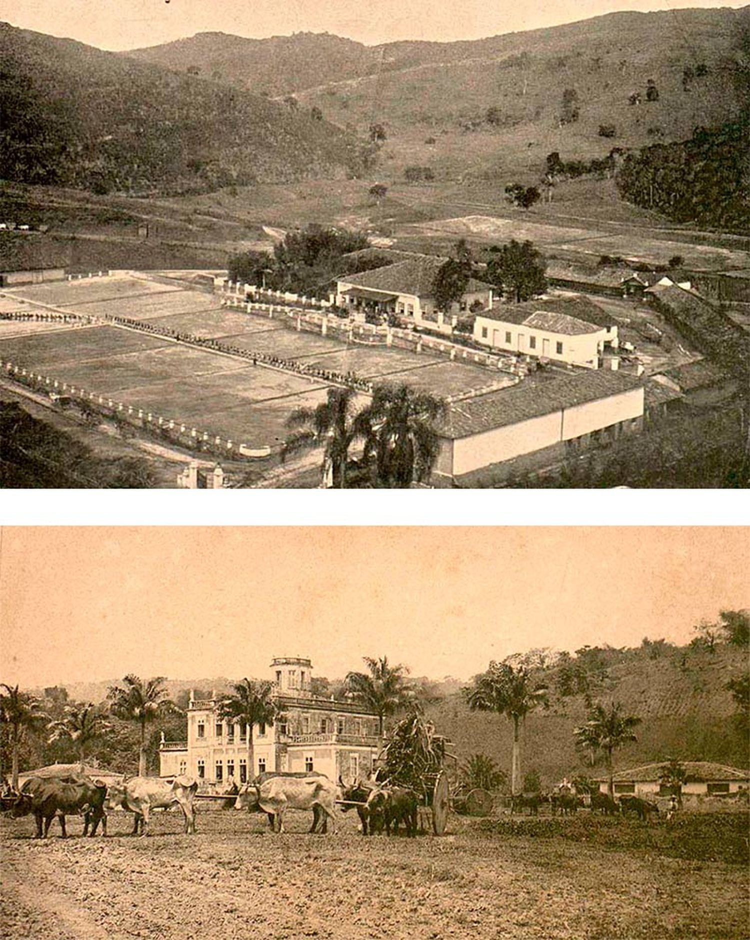 Grandes propriedades rurais em São Paulo e Pernambuco no fim do Império.