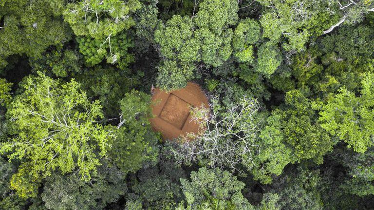 Reserva da Biosfera de Yangambi, no norte da República Democrática do Congo, com uma clareira para abrigar uma torre de fluxo onde será medida a troca líquida de CO2.