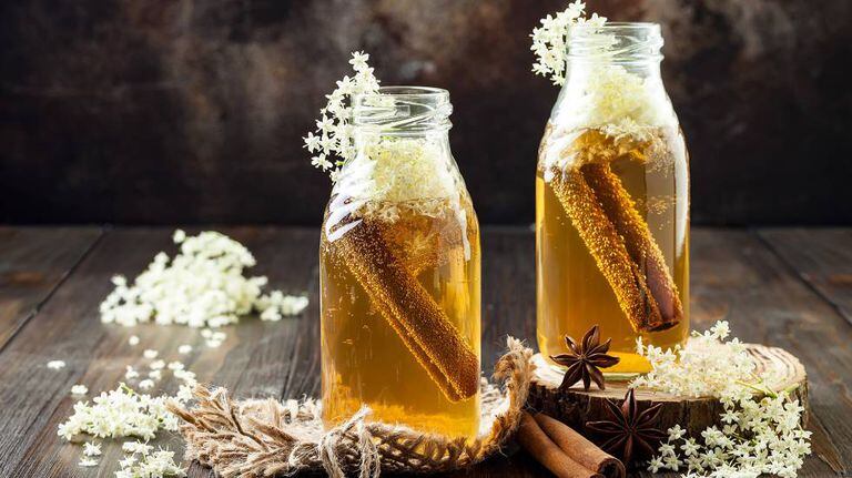 Chá de kombucha fermentado em infusão de flor de sabugueiro com canela e gengibre