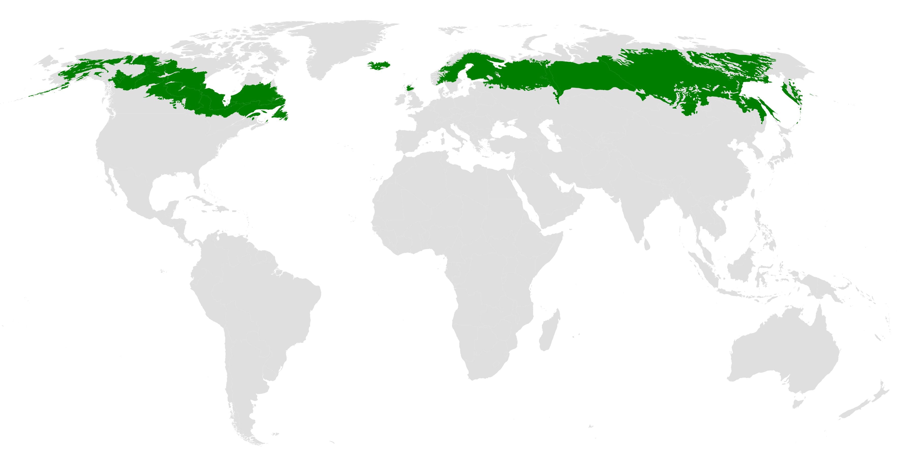 Regiões do planeta onde se encontra a taiga. 