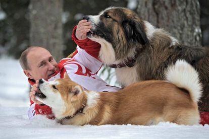 O presidente russo brinca com seus cães 'Buffy' e 'Yume' em 2003.
