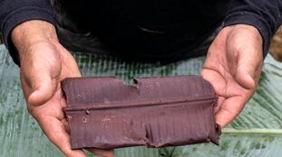 Roraima, 07/2018, Boa Vista.

Oficina de Cacau e produção de chocolate ministrada pelo professor, César de Mendes para os Ye'kwana e Yanomami, na comunidade Waikás.