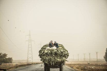 Agricultoras sírias transportan verduras na estrada entre Aleppo e Damasco.