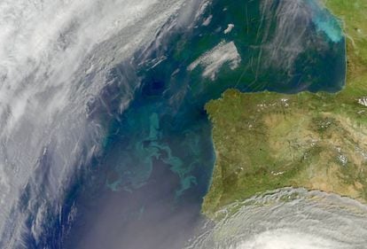 Aglomeração de fitoplâncton na costa da Península Ibérica e, ao norte, no golfo de Biscaia.