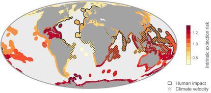 O mapa mostra como os ecossistemas marinhos dos trópicos e a Antártida são os que têm maior risco de extinção.