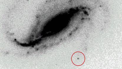 Uma das fotografias originais da supernova (no círculo vermelho).
