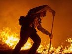 Bombeiros de Los Angeles combata incêndio na Floresta Nacional. As chamas já queimaram mais de 2.3 milhões de hectares. 