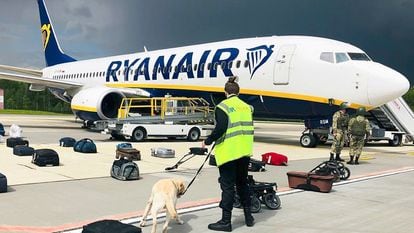 Agentes de segurança usam cão farejador para checar a bagagem dos passageiros do Boing 737 da Ryanair que transportava o oposicionista Roman Protasevich.