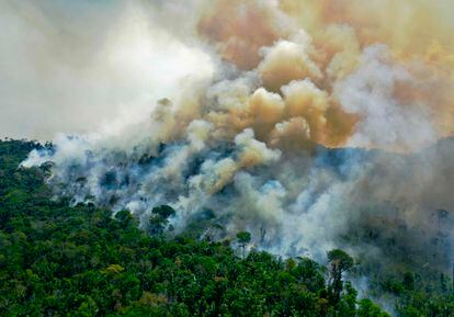 Amazônia em Chamas 20: “Tudo que vai queimar está pela frente