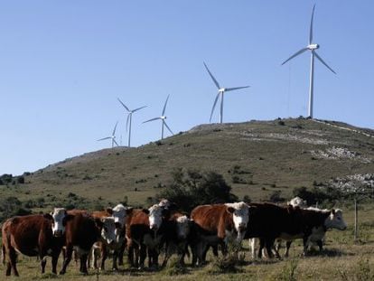 Moinhos de vento na Sierra de Caracoles, Uruguai.