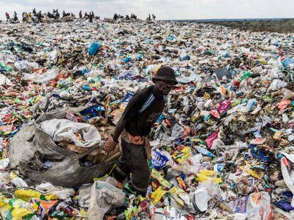 Dia Mundial do Meio Ambiente: a ‘epidemia’ de plásticos, em imagens