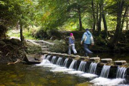Bosque de Tollymore, na Irlanda do Norte, onde começa ‘Game of Thrones’.