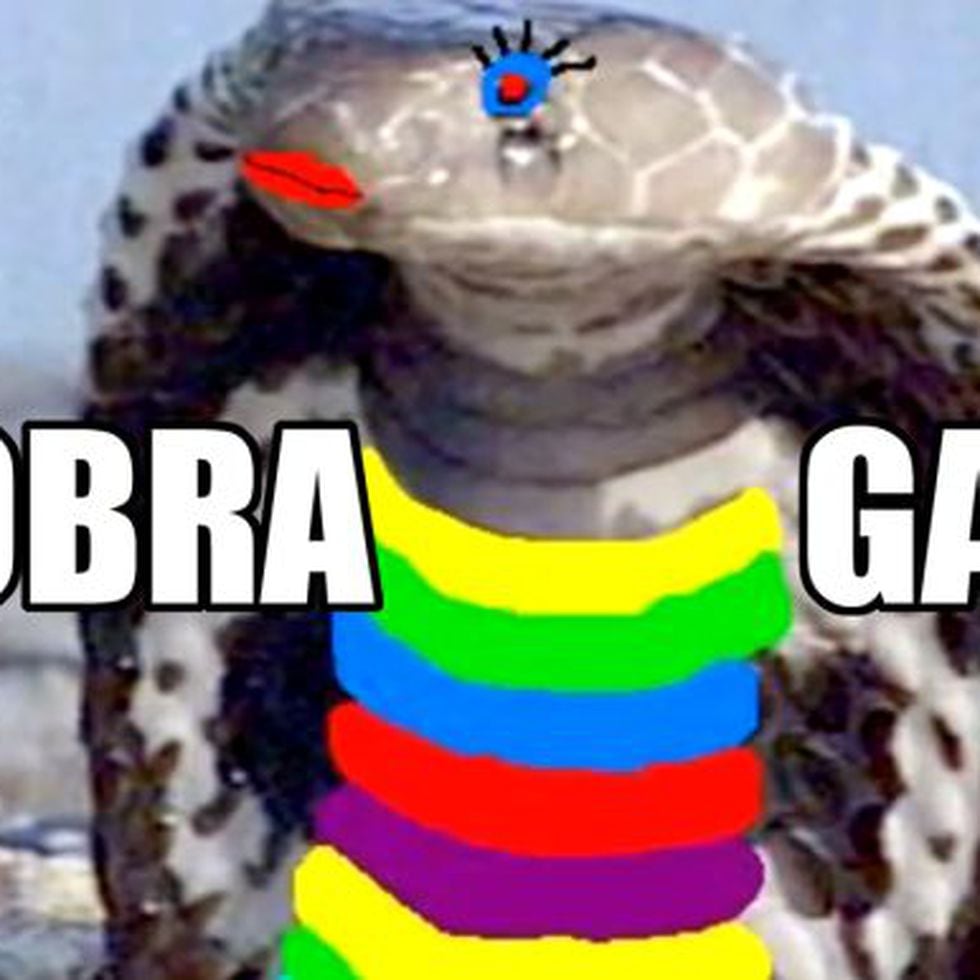 Uma cobra de desenho animado com fundo azul que diz 'sou uma cobra
