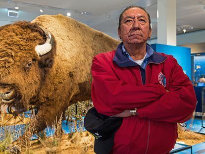 Ernie LaPointe, bisneto do Touro Sentado, posa com um bisão empalhado em um museu em Bremen, Alemanha, em 2016.