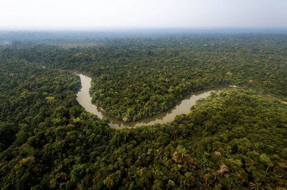 A Terra Indígena Mekrãgnoti, banhada pelo rio Curuá, ocupa 5 milhões de hectares de florestas preservadas.