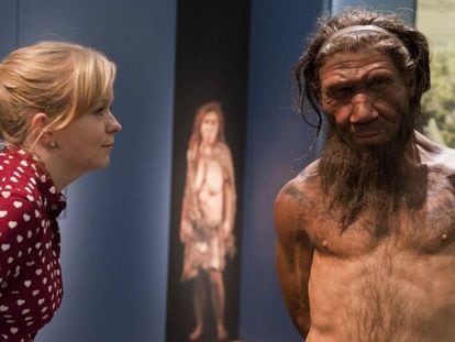 Uma mulher observa uma reprodução de um neandertal em uma exposição sobre essa espécie em Londres.