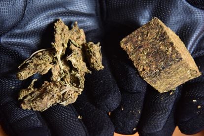 Marihuana colombiana (izquierda), conocida como “colombinha” en São Paulo, y la marihuana paraguaya, conocida como “prensado”