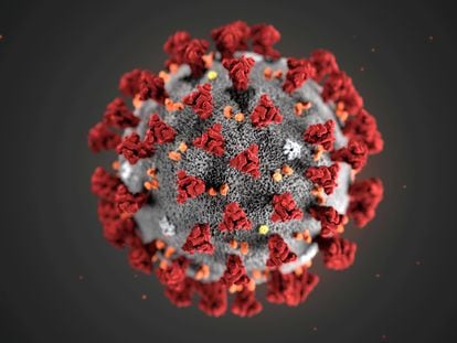 Ilustração do coronavírus criado pelo Centros de Controle e Prevenção de Doenças (CDC), dos Estados Unidos.