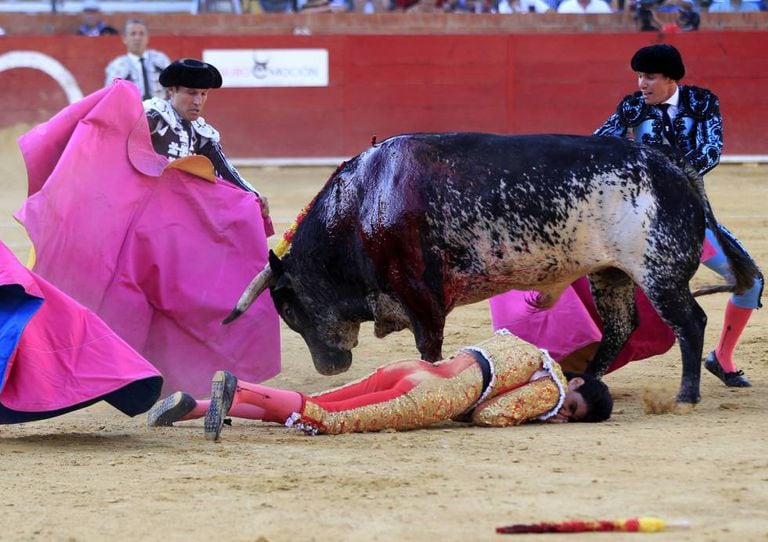 O toureiro Victor Barrio, após ser atingido por uma chifrada.