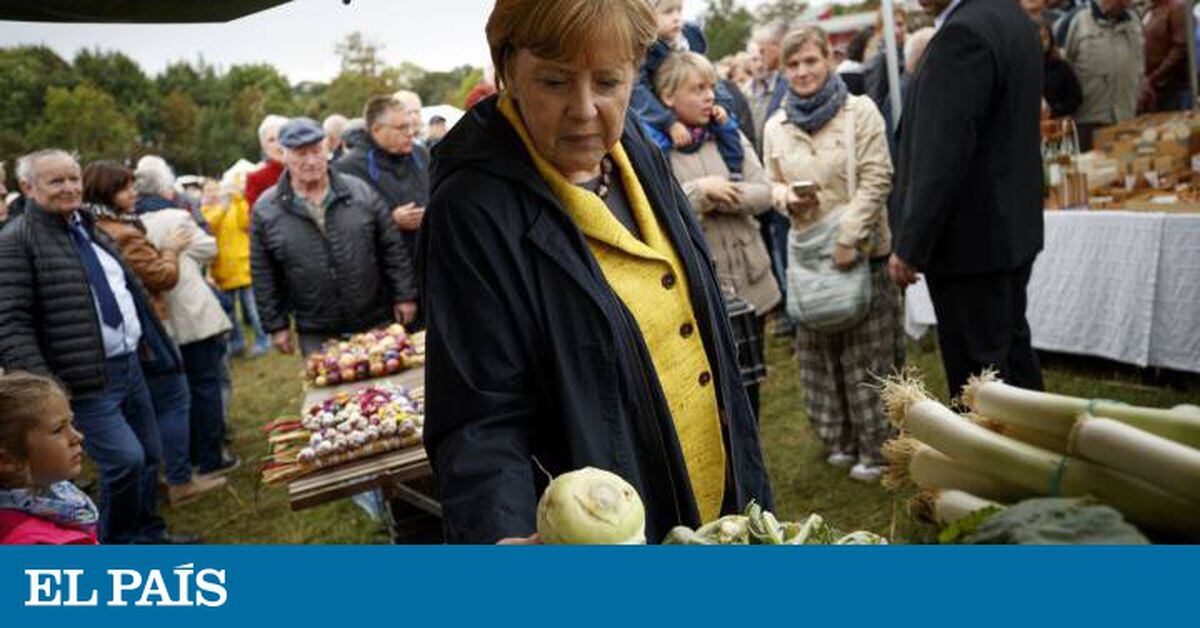 Eleições na Alemanha marcam o futuro da Europa ...