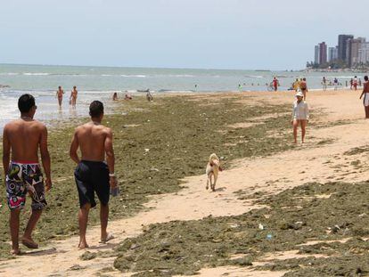 Praia de Piedade, no Recife.