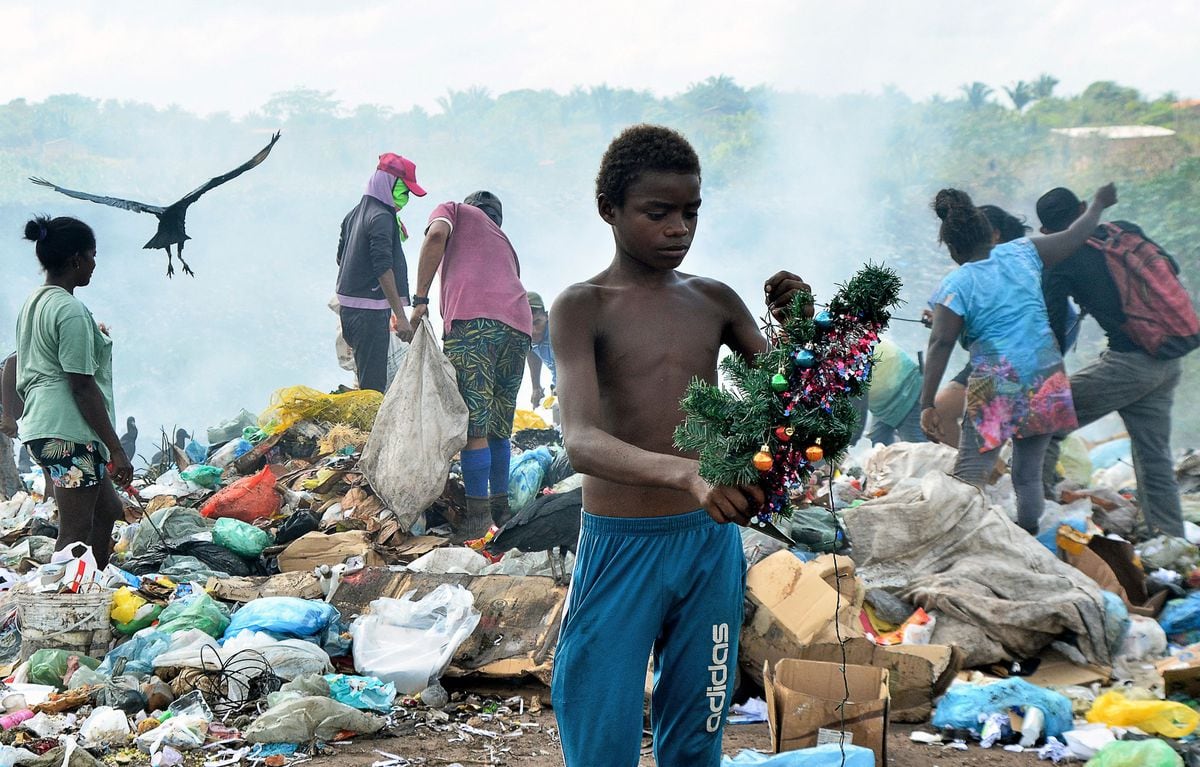 O menino e a árvore no lixão, o cartão natalino do Brasil dilacerado pela  fome | Atualidade | EL PAÍS Brasil