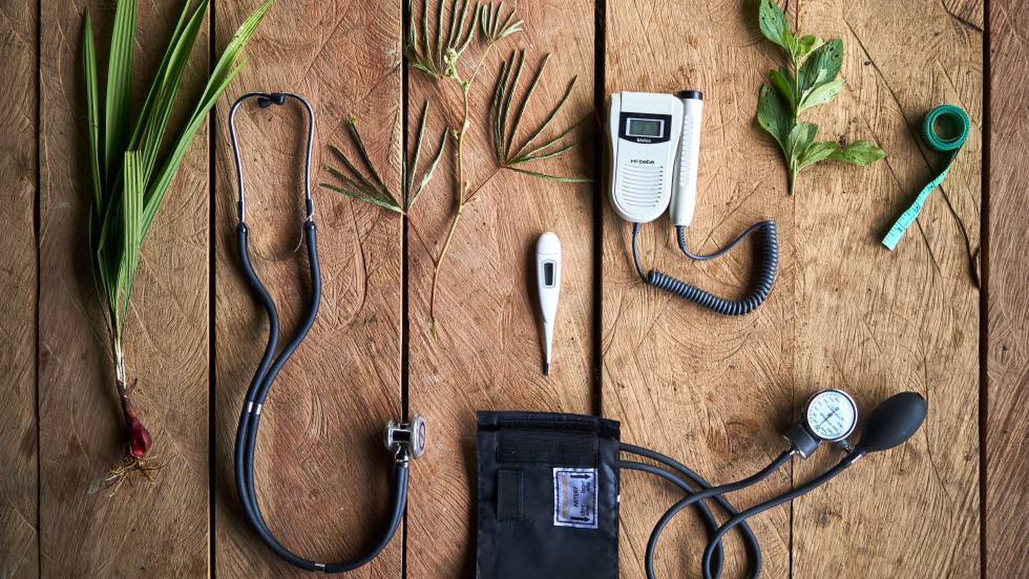 Material médico e plantas medicinais utilizadas por Vero.