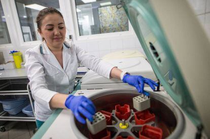Centrifugação de amostras de esperma em uma clínica de reprodução assistida de Moscou.