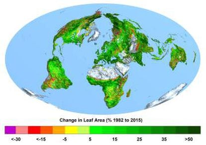 Mapa que mostra a mudança de vegetação.