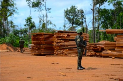 Soldado do Exército em frente a uma pilha de tábuas apreendidas na Operação Verde Brasil 2 em Roraima.