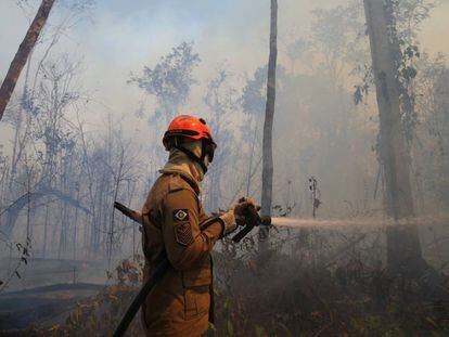 Bombeiro apaga fogo no Mato Grosso, na última quarta-feira.