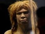 Reconstrucci&oacute;n de una mujer de Neandertal en el Museo Arqueol&oacute;gico. 