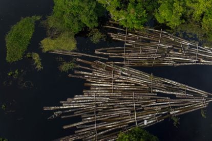 Foto aérea tirada em 16 de julho de 2020 mostra carga de madeira apreendida no rio Manacapuru, no Amazonas.