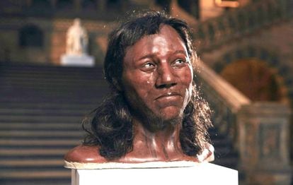 Foto fornecida pelo Museu de História Natural de Londres mostra o rosto do chamado “Homem de Cheddar”.
