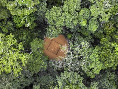 Reserva da Biosfera de Yangambi, no norte da República Democrática do Congo, com uma clareira para abrigar uma torre de fluxo onde será medida a troca líquida de CO2.