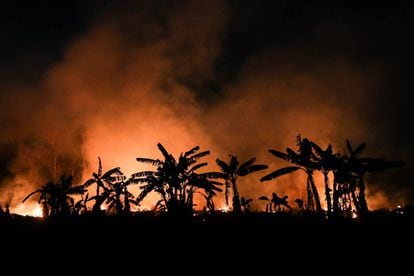 Incêndio em uma área de floresta amazônica em Porto Velho, Rondônia, no dia 9 de setembro de 2019.