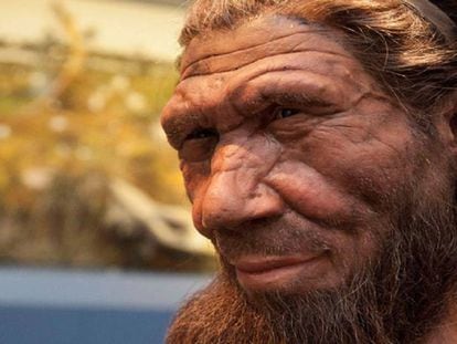 Reconstrução de um Neandertal no Museu de História Natural.