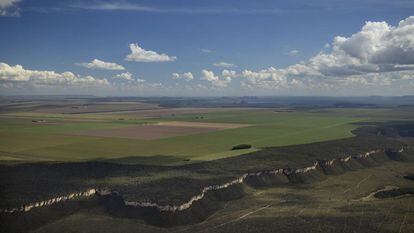 Imagem de zona desmatada para cultivo no Cerrado do Brasil ao lado de espaço de conservação em maio.